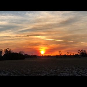 Meet your Posher, Desiree